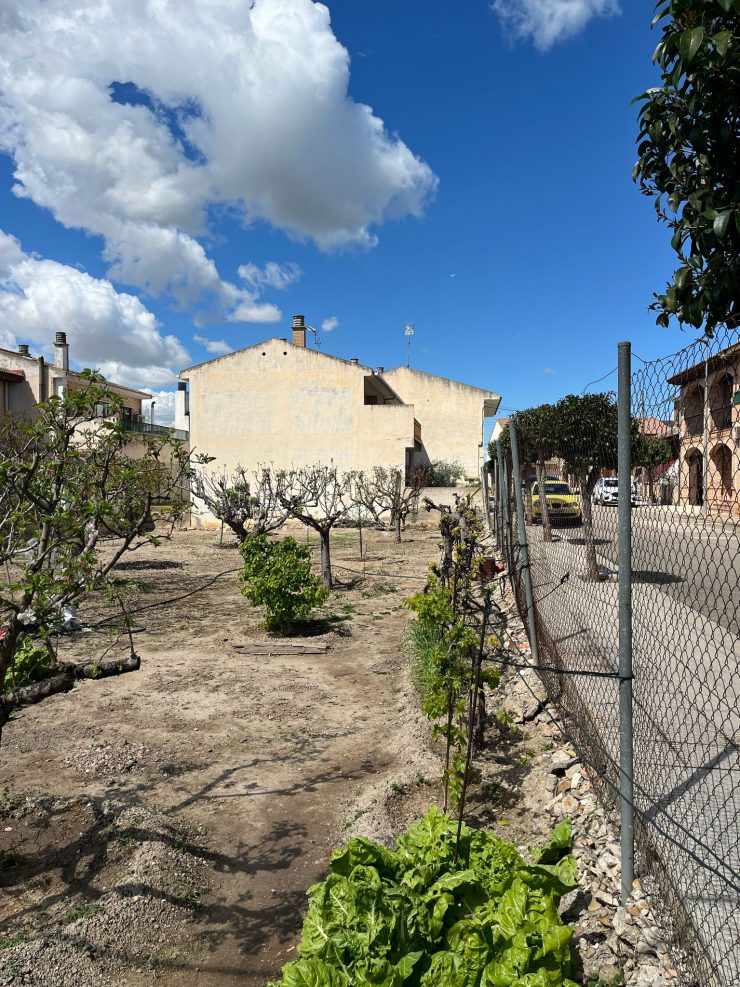 Terreno urbano en calle Constitución 3, Gelsa